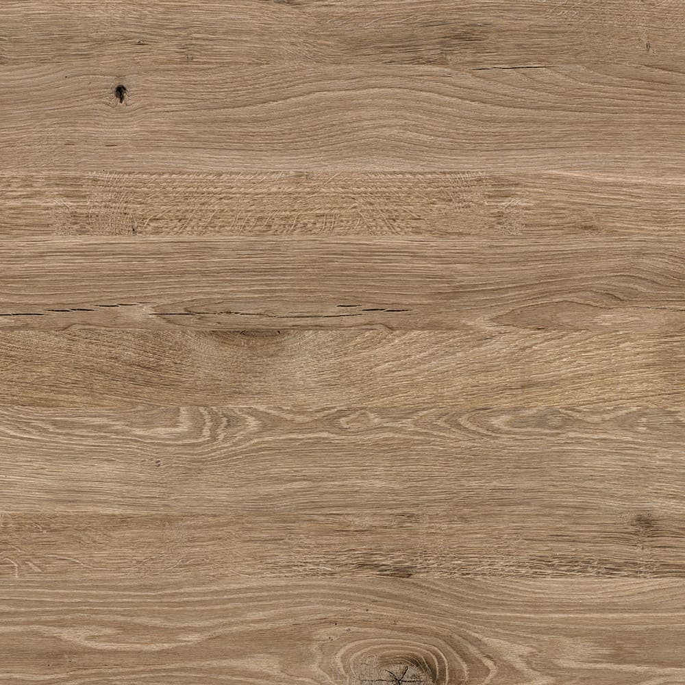 8093_Wilson_oak