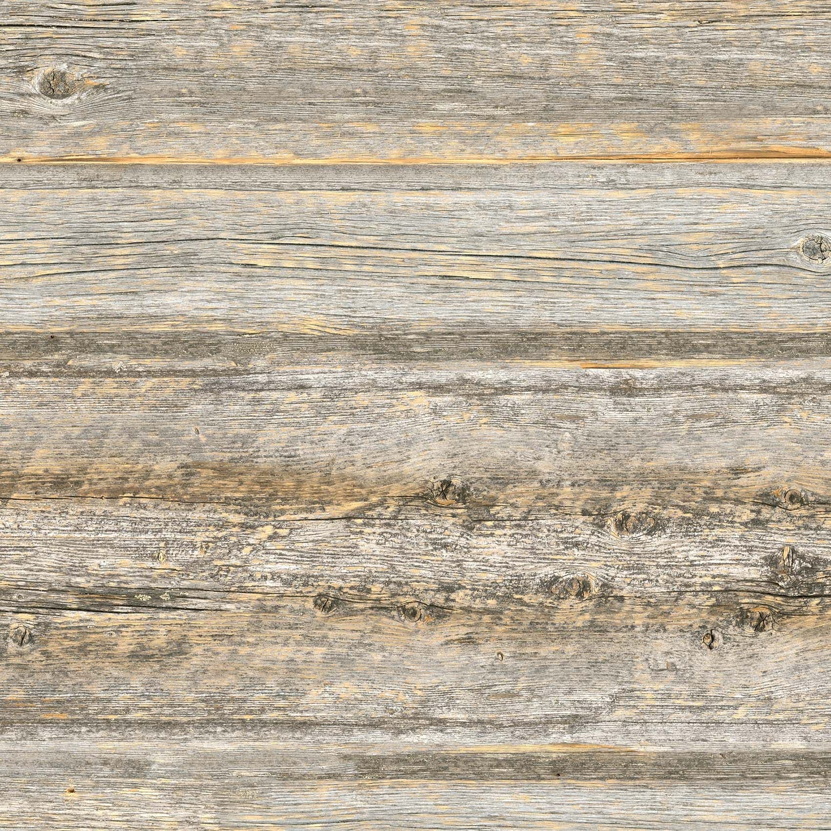 8095_Rustic_pine_light