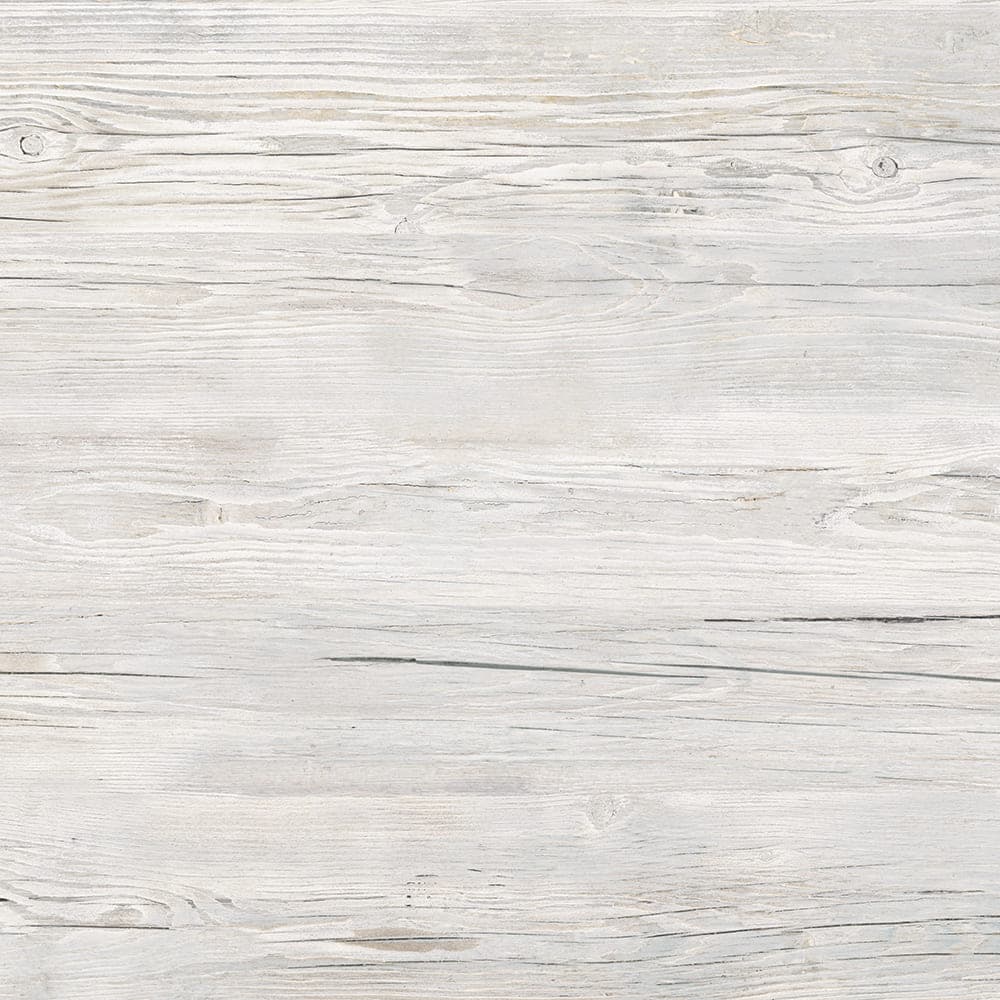 8123_Icy_Pine