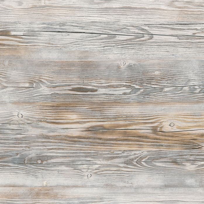 8124_Painted_Pine